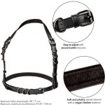 CALIFORNIA EXOTICS - EUPHORIA PLUS SIZE HALTER BUCKLE HARNESS SCHWARZ
